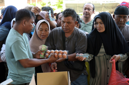 HARGA TELUR STABIL