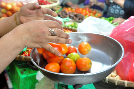 HARGA TOMAT NAIK