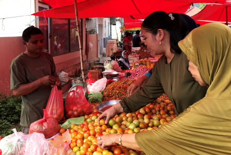 HARGA TOMAT TURUN