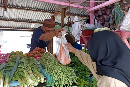 HARGA WORTEL NAIK