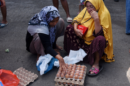 HITUNG TELUR AYAM