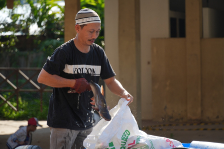 OPERASI PASAR PENYEIMBANG DI PALANGKA RAYA