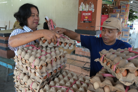 BELI TELUR AYAM RAS 