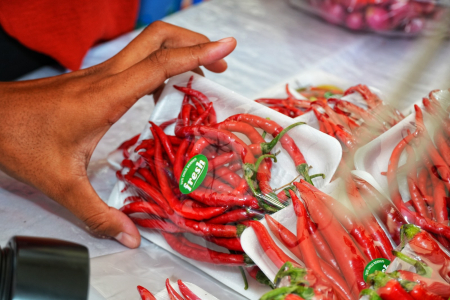 PILIH CABAI MERAH