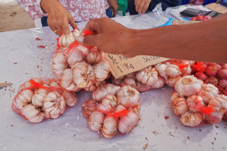 BELI BAWANG PUTIH