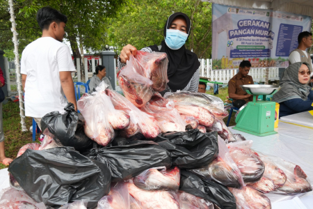 SUSUN IKAN PATIN