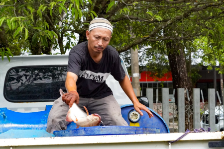 PEDAGANG IKAN PATIN