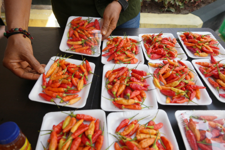 GEBYAR PASAR MURAH KARANTINA