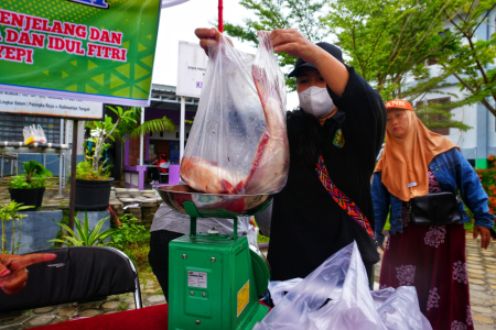 TIMBANG IKAN PATIN
