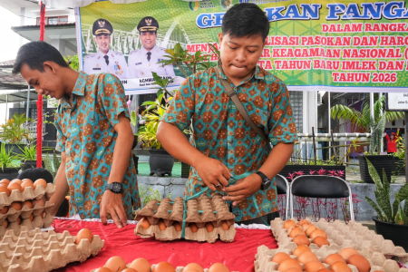 IKAT BAKI TELUR AYAM RAS