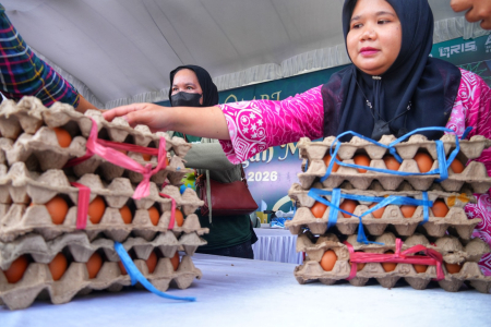 PILIH TELUR AYAM RAS
