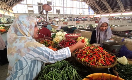 HARGA CABAI MENINGKAT