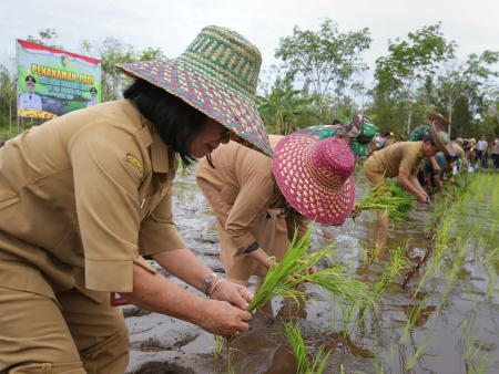 PENANAMAN PADI UNTUK PENGENDALIAN INFLASI