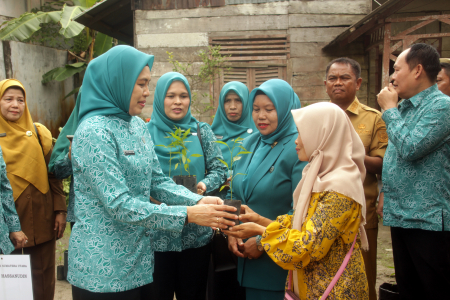 BANTUAN BIBIT CABAI ATASI KRISIS PANGAN