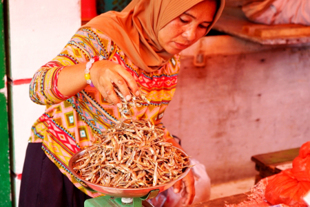 IKAN TERI KERING					
