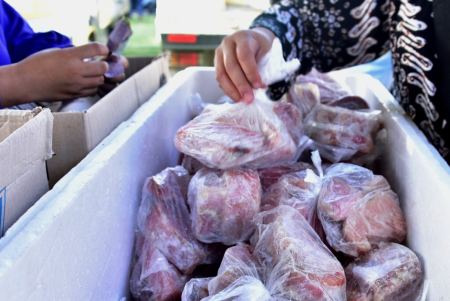IKAN TUNA MURAH