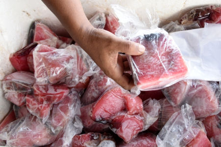 IKAN TUNA MURAH