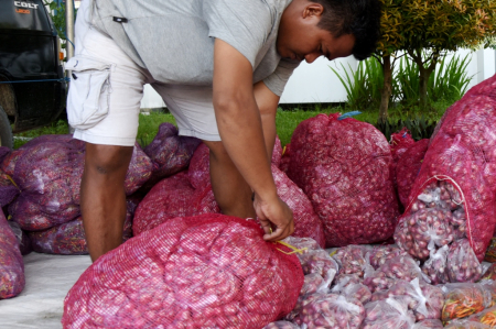 KOMODITAS BAWANG MERAH