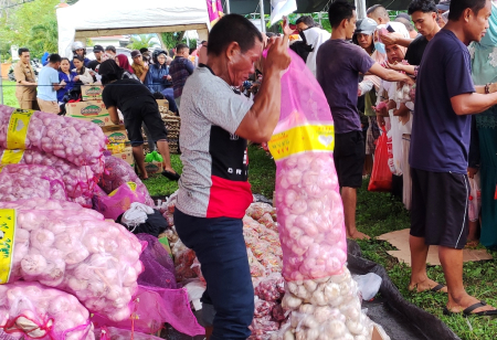 KOMODITI BAWANG PUTIH