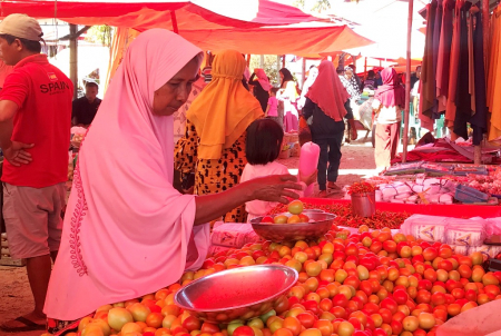 HARGA TOMAT TURUN DI GORONTALO