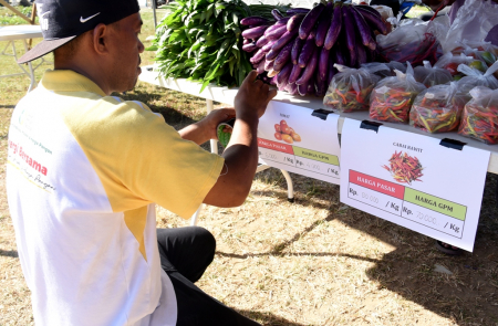 MENEMPEL INFORMASI HARGA PANGAN