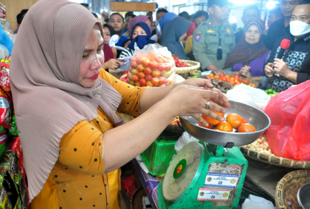 MENIMBANG TOMAT
