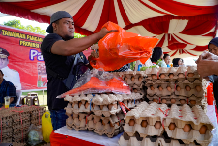 BUNGKUS TELUR AYAM RAS   