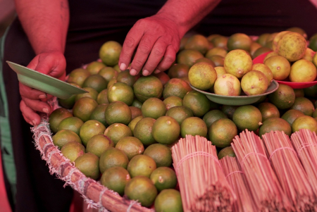 PENJUAL JERUK NIPIS					