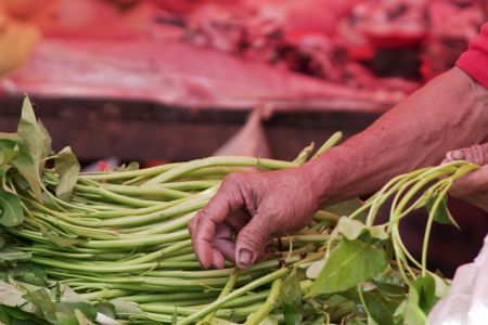 PENJUAL SAYUR KANGKUNG					