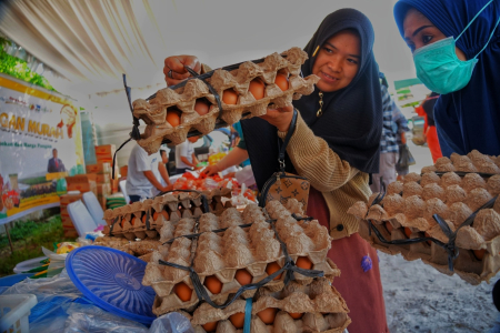 MEMILIH TELUR AYAM RAS