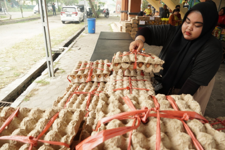 SUSUN TELUR AYAM RAS