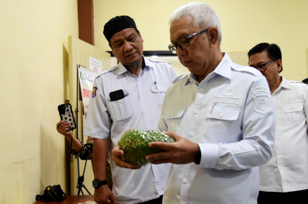 SIRSAK TANPA PESTISIDA