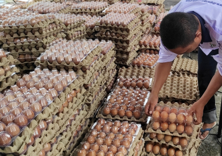 TELUR AYAM BERSUBSIDI