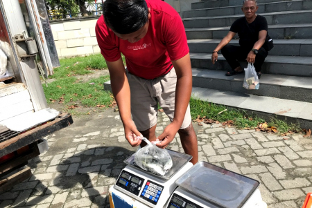 TIMBANG IKAN LAYANG