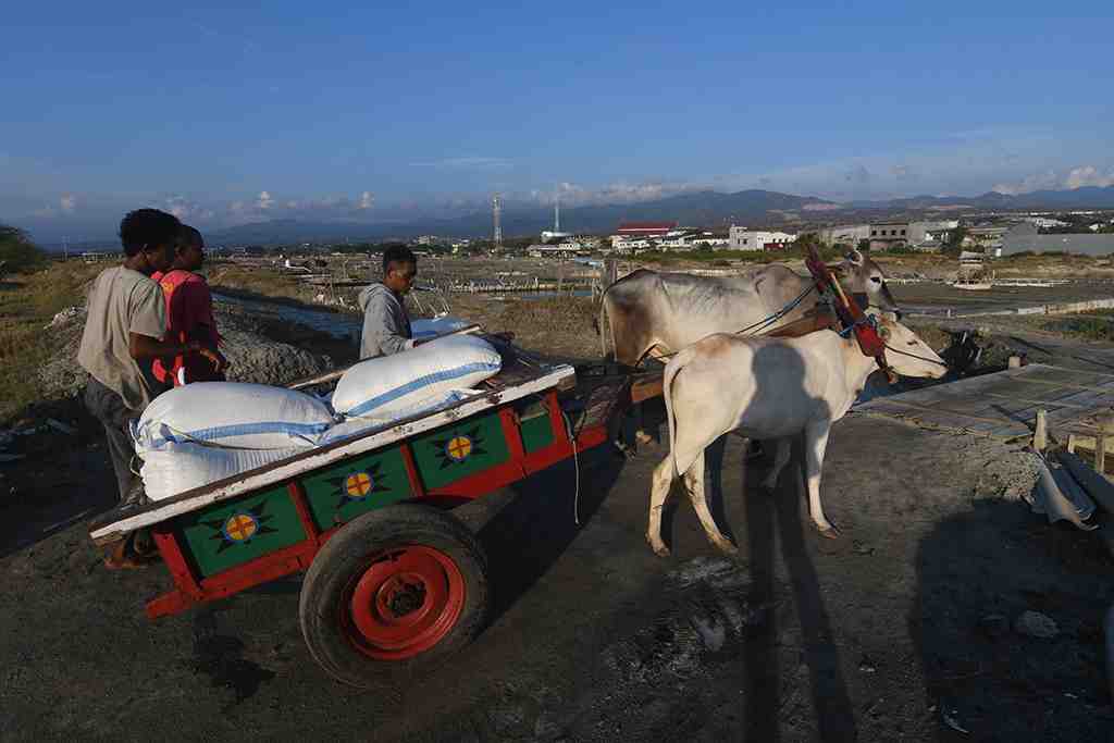 JASA ANGKUT GARAM DI TALISE PALU