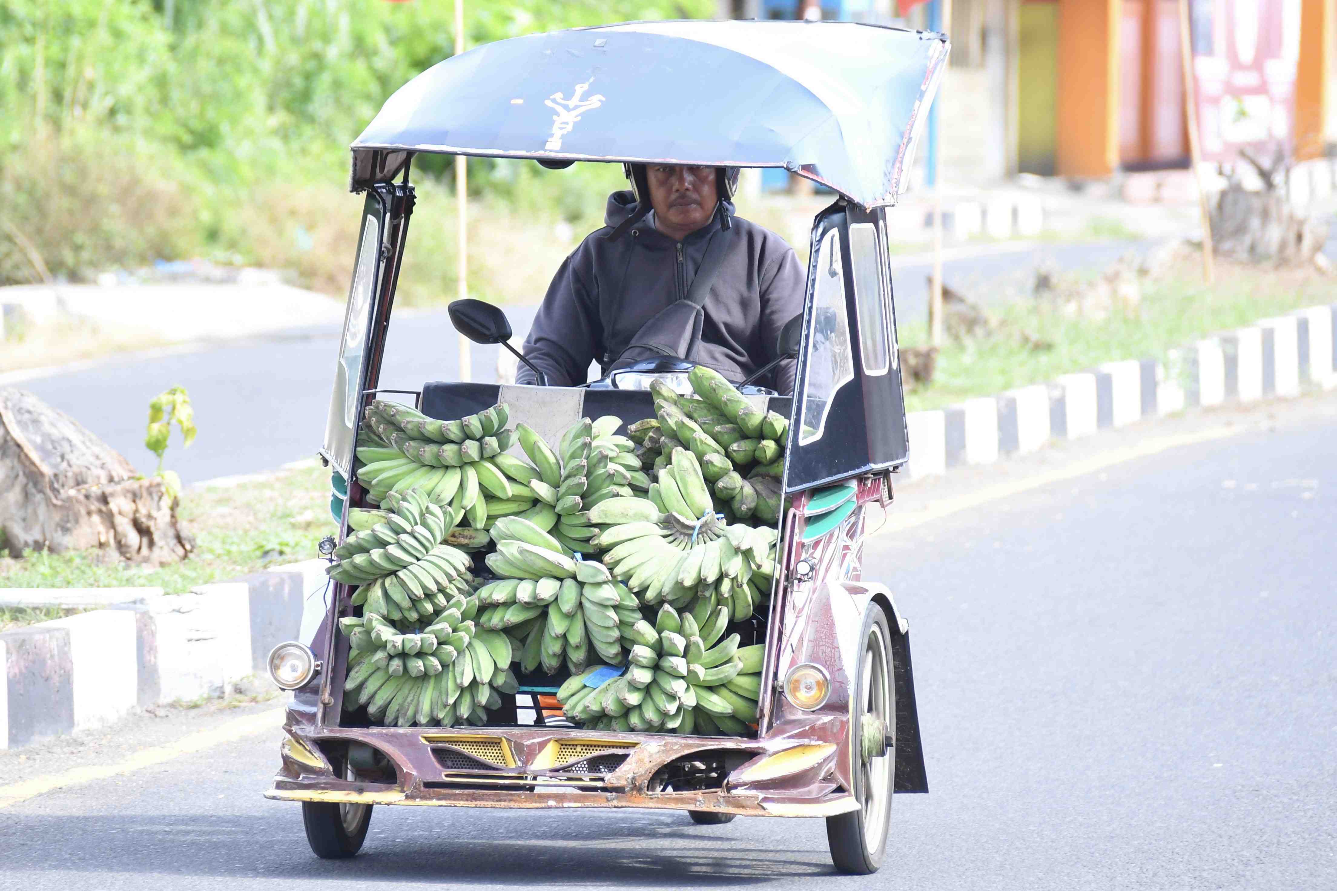 ANGKUT PISANG