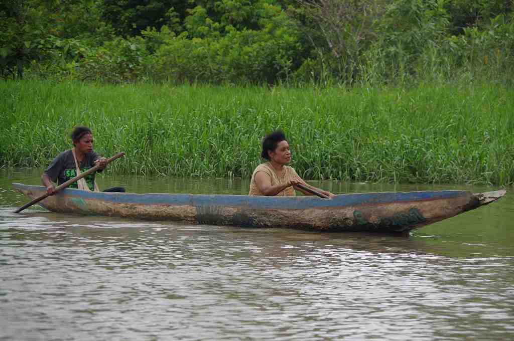 DAYUNG DI PESISIR SUNGAI DIGOEL