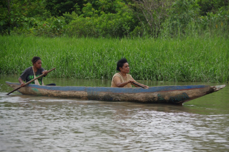 DAYUNG DI PESISIR SUNGAI DIGOEL