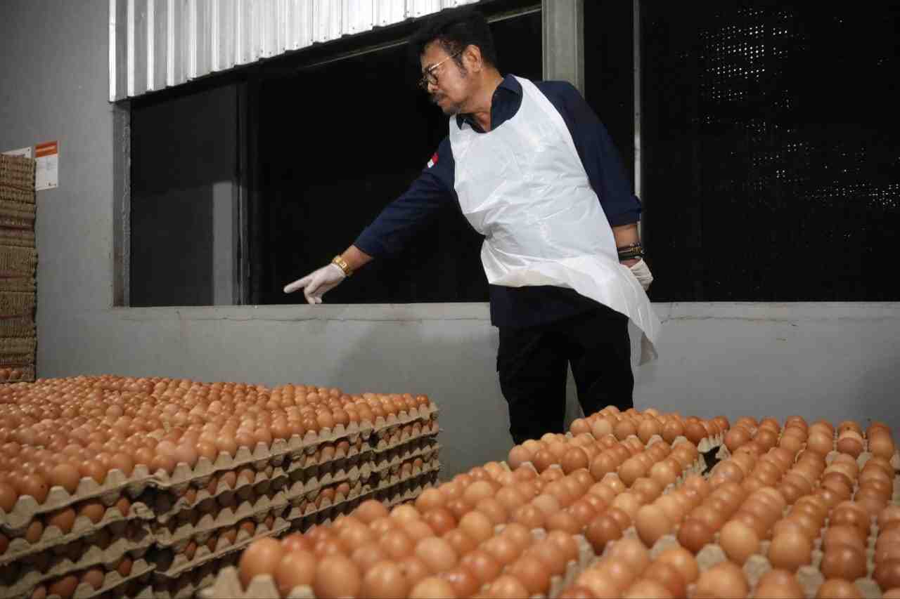 Pantau Ketersedian Telur di Sulsel, Mentan Pastikan Kebutuhan Lebaran Aman