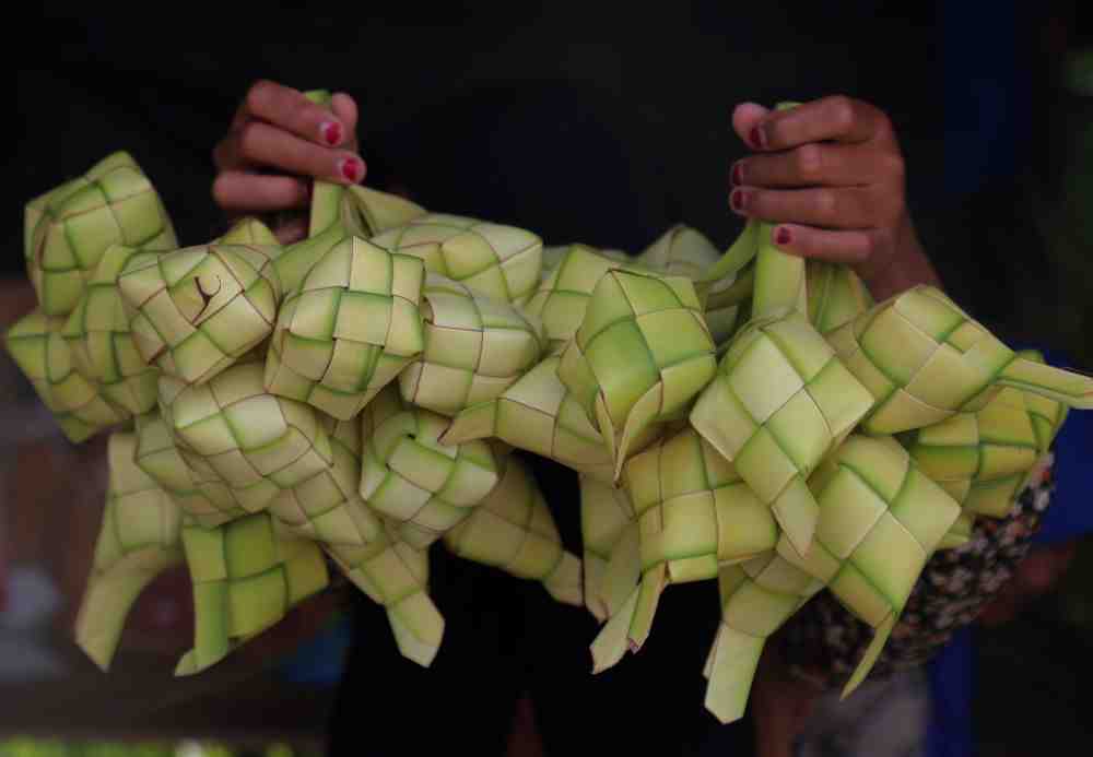 [SIARAN PERS] Idulfitri di Negeri Sejuta Gajah