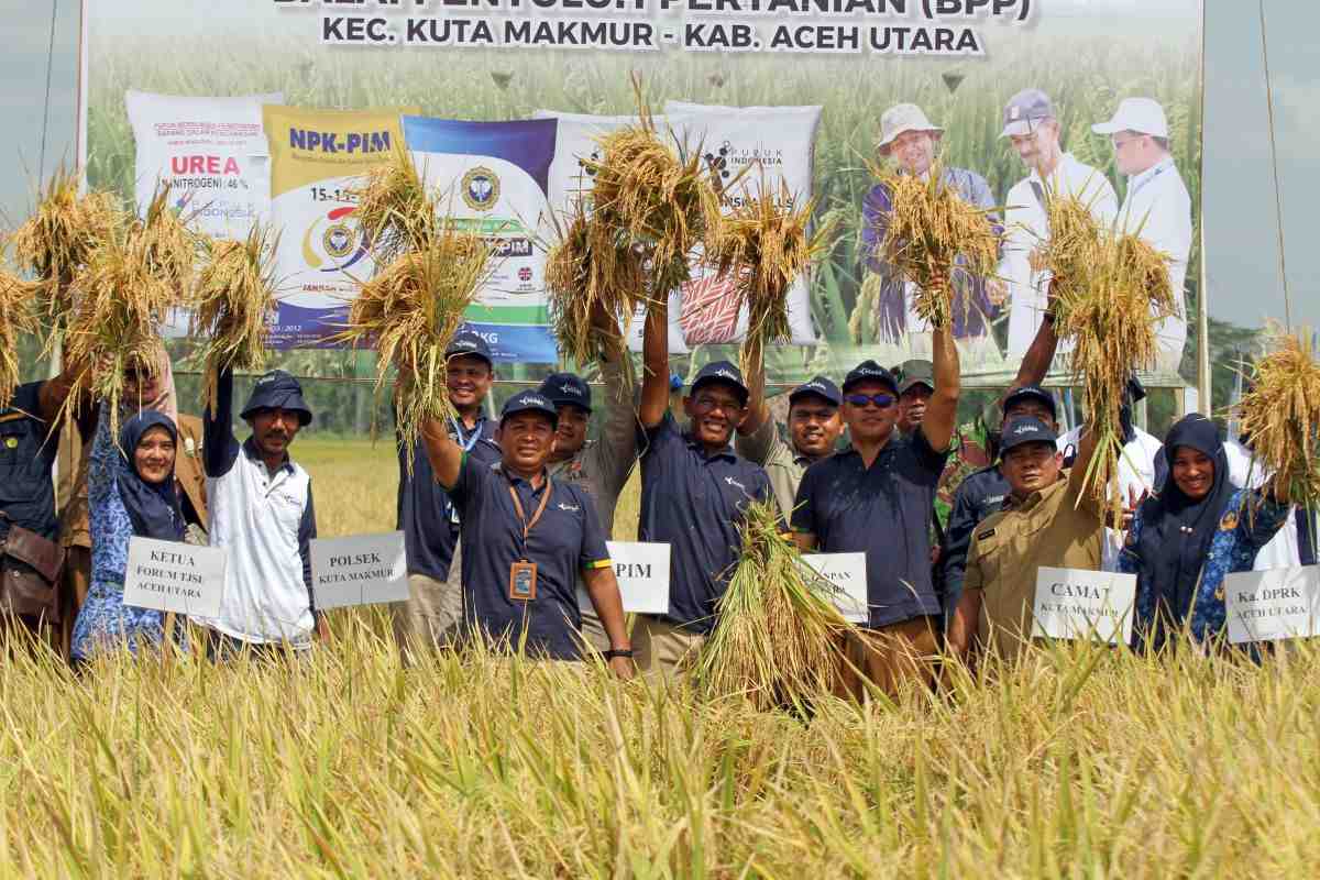 Meraup Berkah Panen Raya