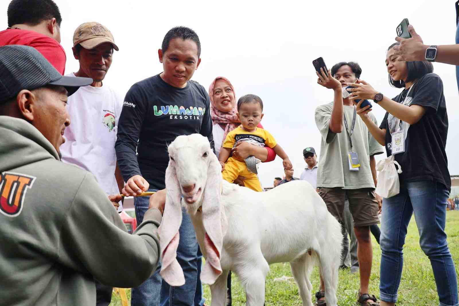Kontes Kambing pra-Piala Presiden 2023 Diharapkan Mampu Tingkatkan Perekonomian Masyarakat