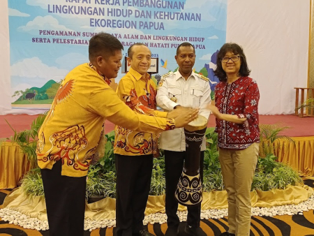 papua barat daya