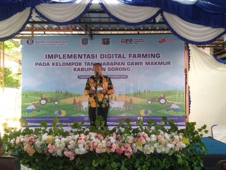 papua barat daya