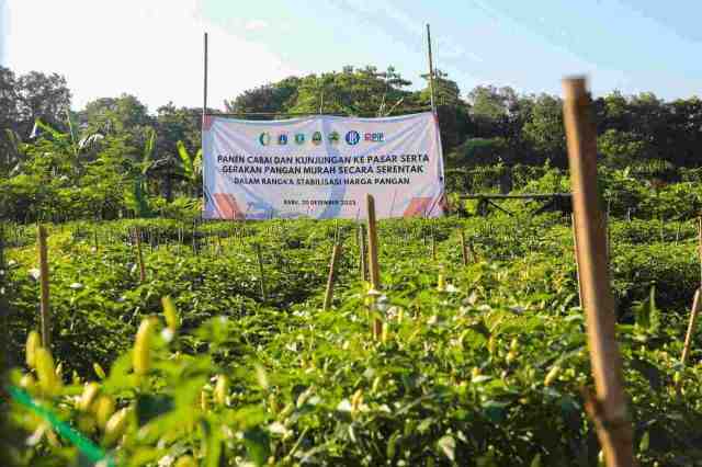 Ketersedian Pangan dan Harga Stabil di Jakarta