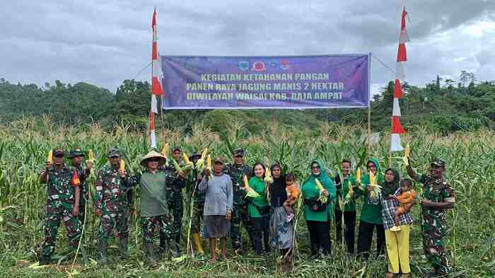 Kodim 1805 Raja Ampat Panen Raya Jagung
