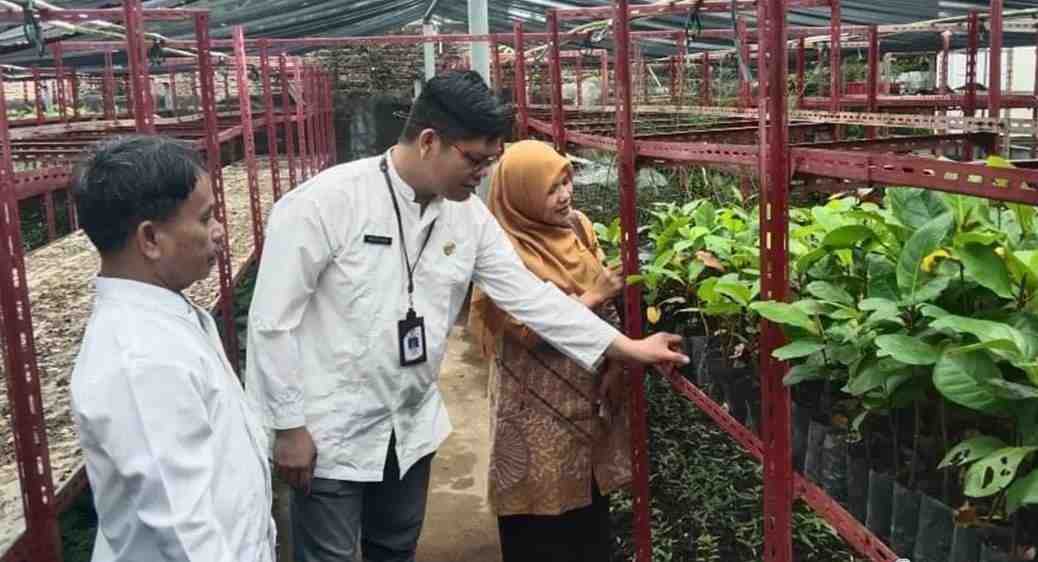 KPU Bakal Tanam Pohon di Seluruh TPS di Kota Padang