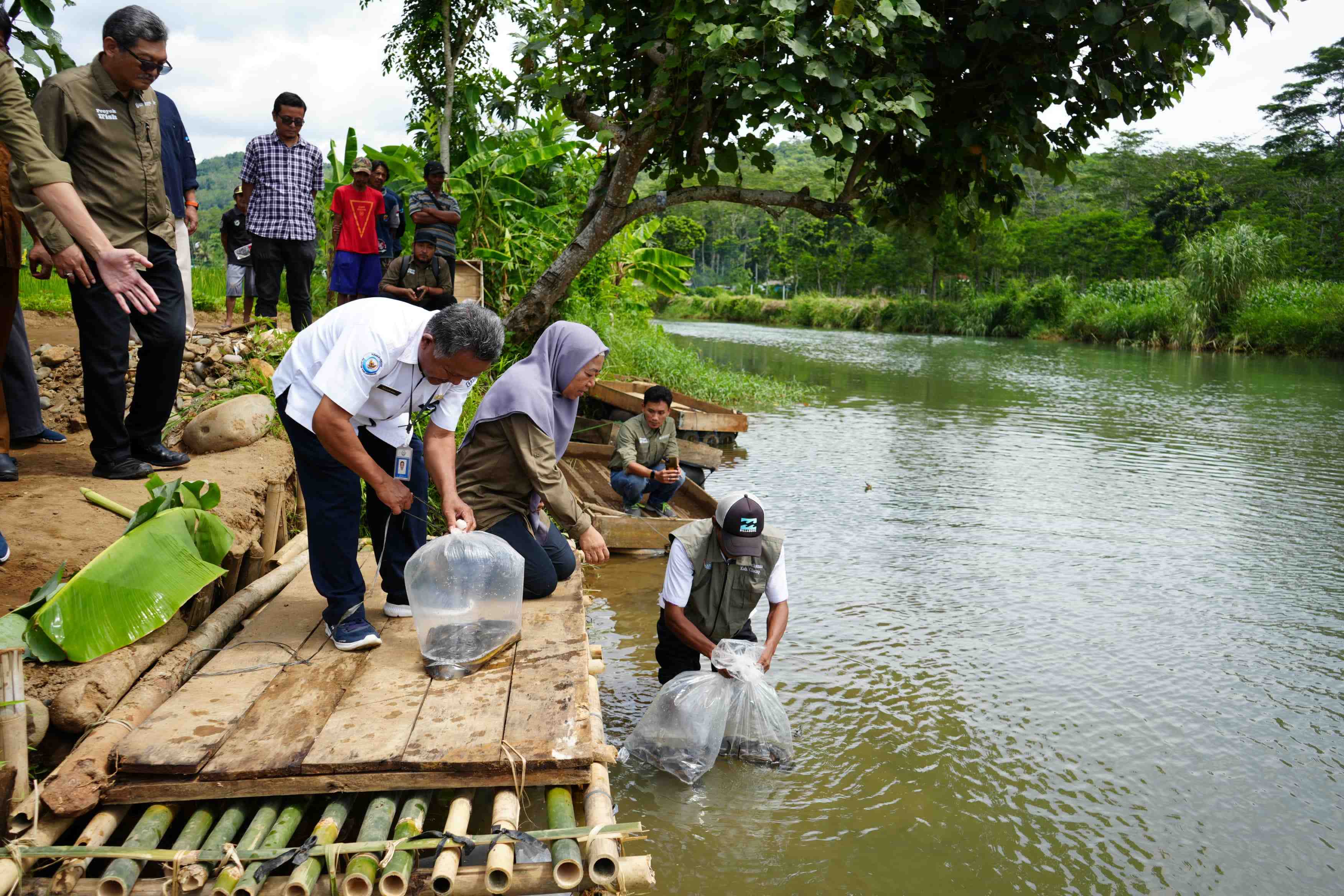 KKP Bersama FAO dan Pemda Jateng Lepasliarkan Sidat Hasil Project IFish