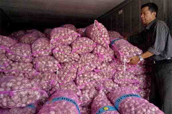 Kementan Pastikan Layanan Rekomendasi Impor Bawang Putih sesuai Ketentuan