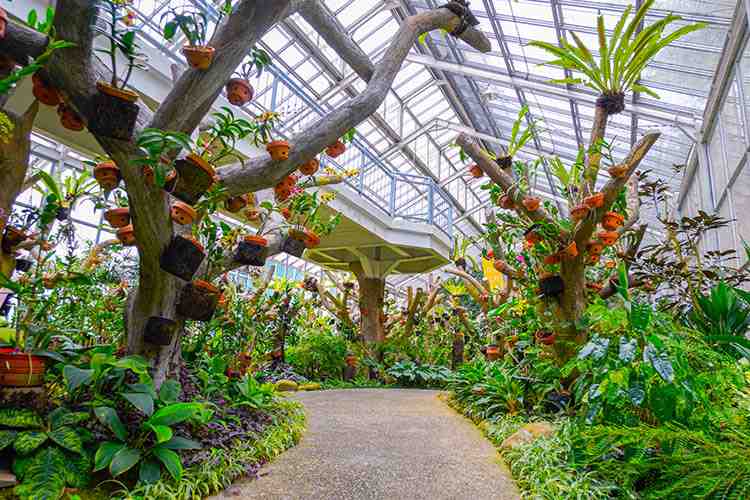  Jadi Tempat Liburan Favorit, Ada Apa Saja di Kebun Raya Bogor?